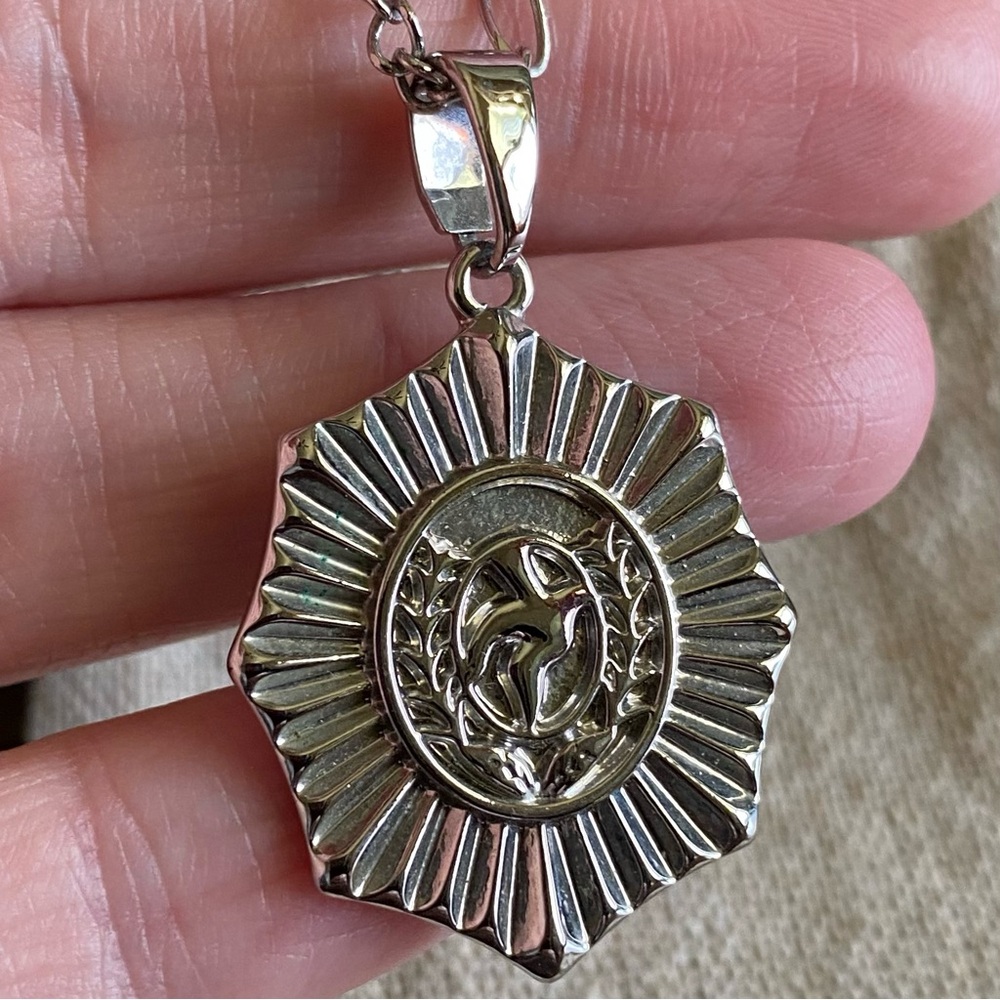 ✨ 2/$15 JEWELRY✨ Waterproof Stainless Steel Dove Pendant Necklace